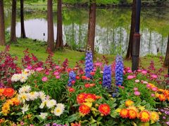 -尚湖风景区