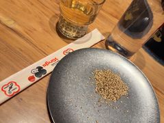 -邢氏老太太烤串(北兴街店)