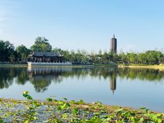 -西海子公园