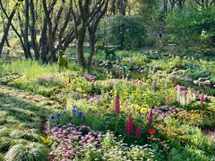 -上海共青森林公园