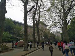 -武汉大学-樱园