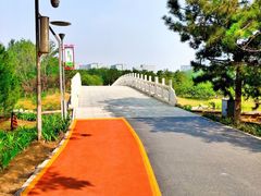 -大兴滨河森林公园