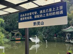 -黔灵山公园