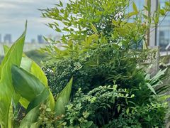 -曼乐辰餐厅(中庚漫游城店)