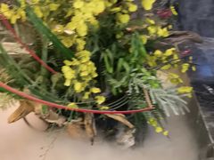-海立阁海鲜江浙菜(漕河泾印象城店)