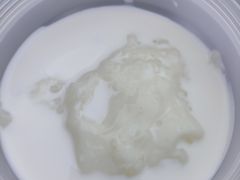 -喜乐村芋泥脑袋家族(三里屯店)