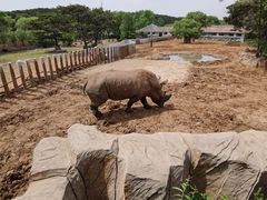 -沈阳森林动物园