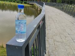 -东莞植物园