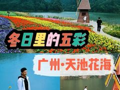 -广州市石门国家森林公园