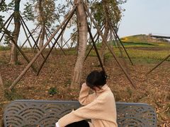 -白鹭湾湿地公园