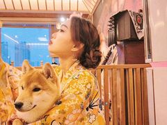 -豆柴町-柴犬主题狗咖(红鼎国际C座店)