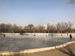 -丰台花园