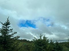 -草原天路(张北县)