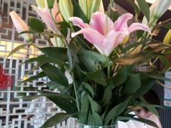 -锦江之星(苏州团结桥地铁站店)