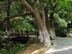 -宝岩生态观光园