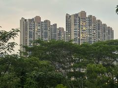 -白石龙音乐公园