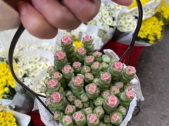 -循礼门鲜花花市(武汉循礼门店)