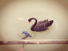 -南京中医药大学(仙林校区)