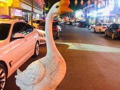 -巢湖名吃·东关老鹅汤(江南风情街店)
