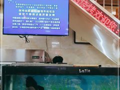 -胖姐烧烤(总店)