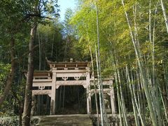 -午潮山国家森林公园