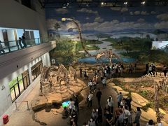 -自贡恐龙博物馆