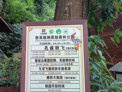 -西双版纳原始森林公园