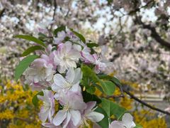 -元大都城垣遗址公园