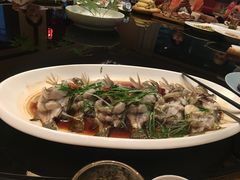 -十八棵（老龙井）御茶园(老龙井店)