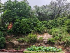 -广州莲花山旅游区