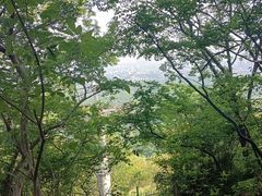 -紫金山山顶公园