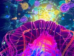 -海合安武汉极地海洋公园