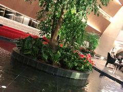 -臻萃轩中餐厅(国家会展中心店)