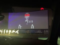 -枫花园汽车电影院(朝阳公园店)