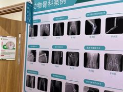 -千城康桥宠物医院CT影像·骨科·心脏专科中心(厚街分院)