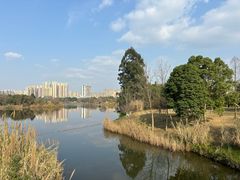-眉山湿地公园(东坡区)