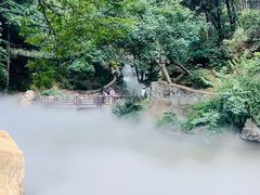 -北京西山国家森林公园