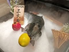 -盒马鲜生(曜一城店)