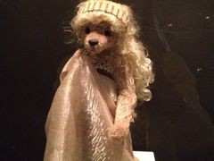 泰迪熊博物馆-济州岛泰迪熊博物馆