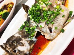 -金满楼(天河中路店)