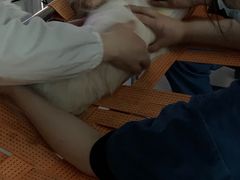 -申普宠物医院·心脏介入·心血管微创(总院)