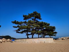 -老虎石海上公园