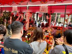 -越秀西湖花市(广州城市广场花卉店)