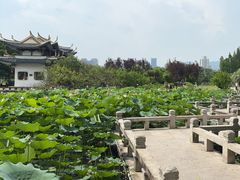 -江心屿景区