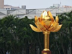 -金莲花广场