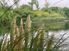 -阳澄湖费尔蒙酒店