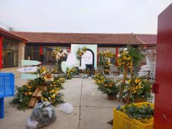 -Sunny喜铺婚礼策划(东部店)