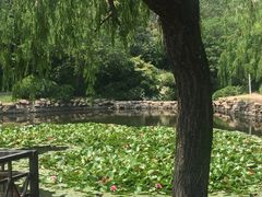 -1号足道推拿会馆