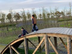 -春花秋色城市公园