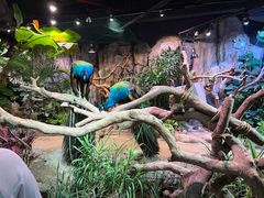 -正佳雨林生态植物园